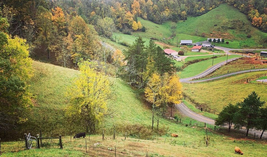 green farmland 