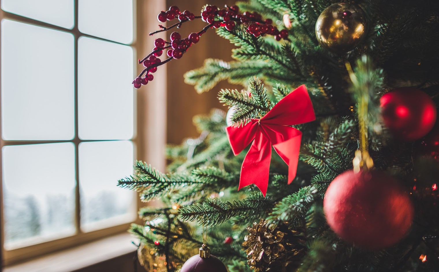 9 Ways to Celebrate the Holidays in Asheville, The Asheville Bed &amp; Breakfast Association