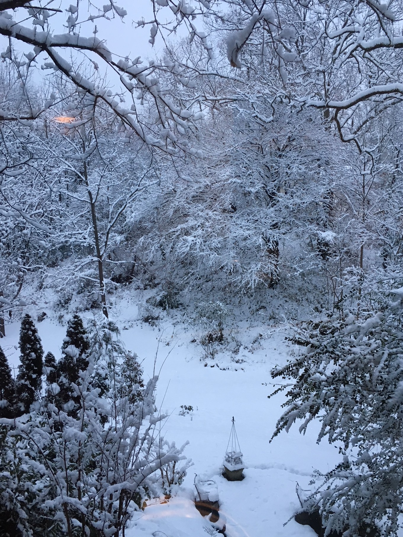 Pinecrest B&B's backyard coated in a layer of snow.