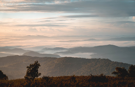 The Most Beautiful Places to See Fall Color in Asheville, NC, The Asheville Bed &amp; Breakfast Association