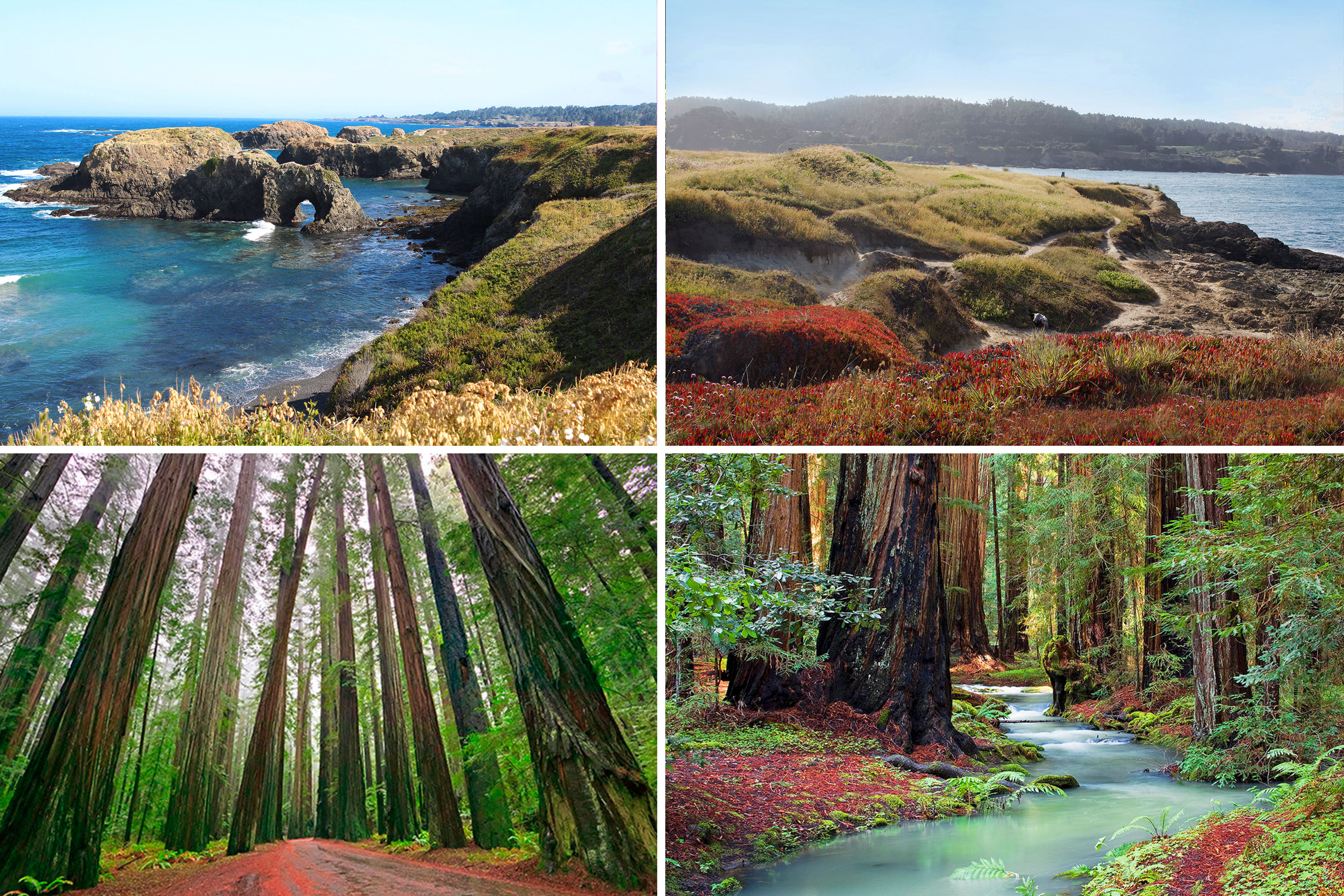 5 Romantic Things To Do on the Mendocino Coast Albion River Inn