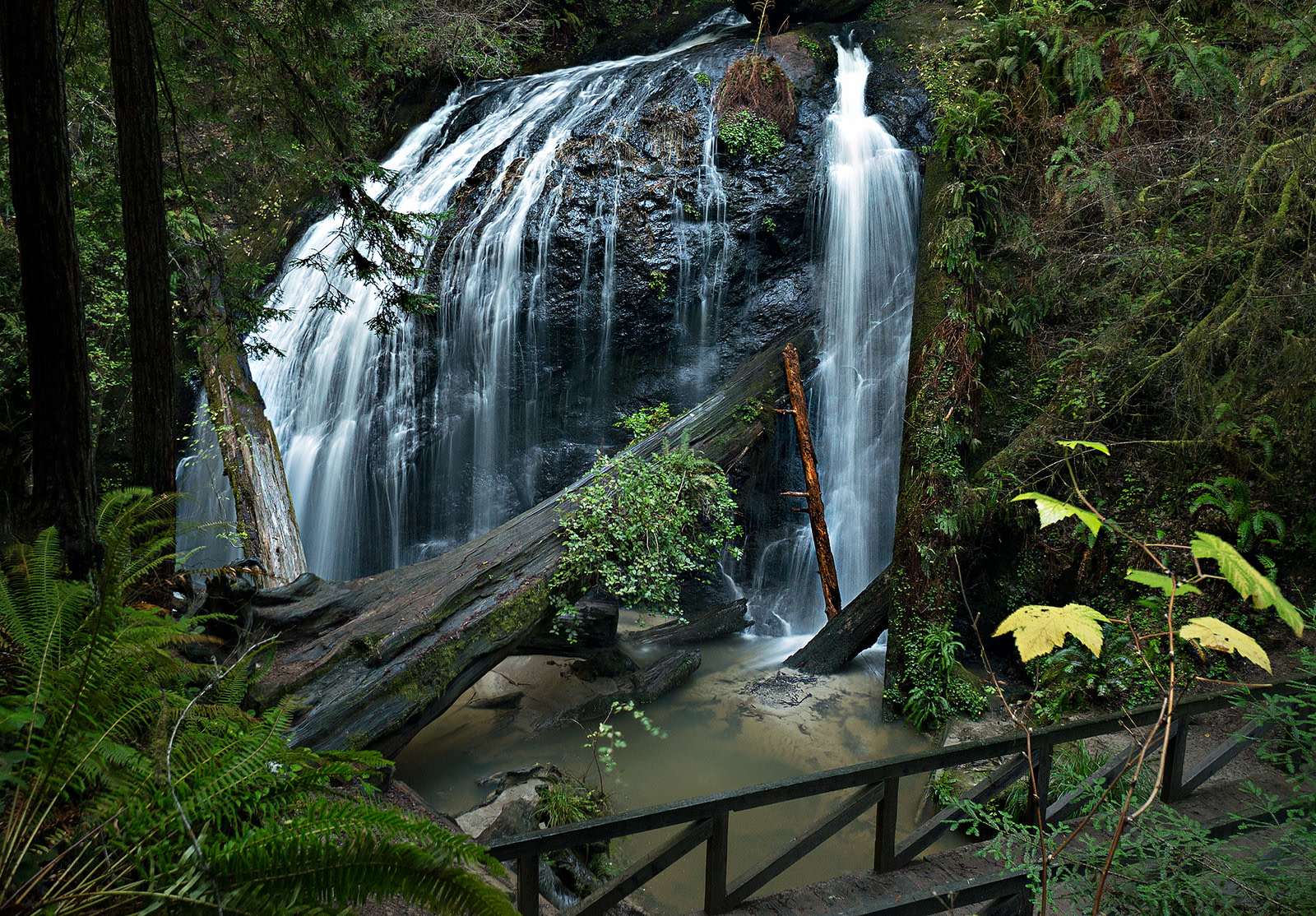 5 Places Nature Lovers Must Visit In Mendocino Albion River Inn 6852