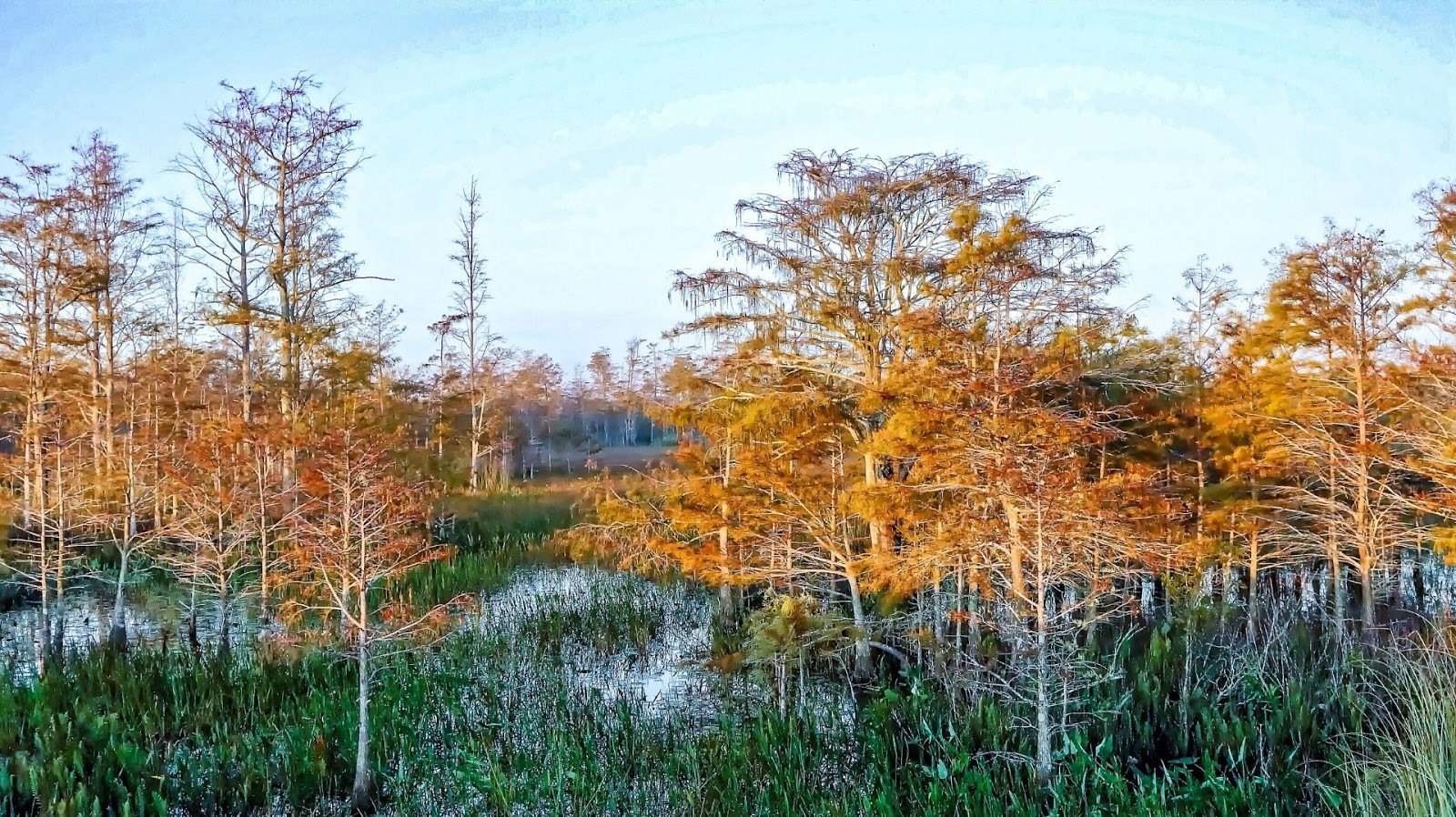 Your Complete Guide to Exploring Monroe, Louisiana Louisiana Bed and