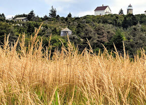 Monhegan Island