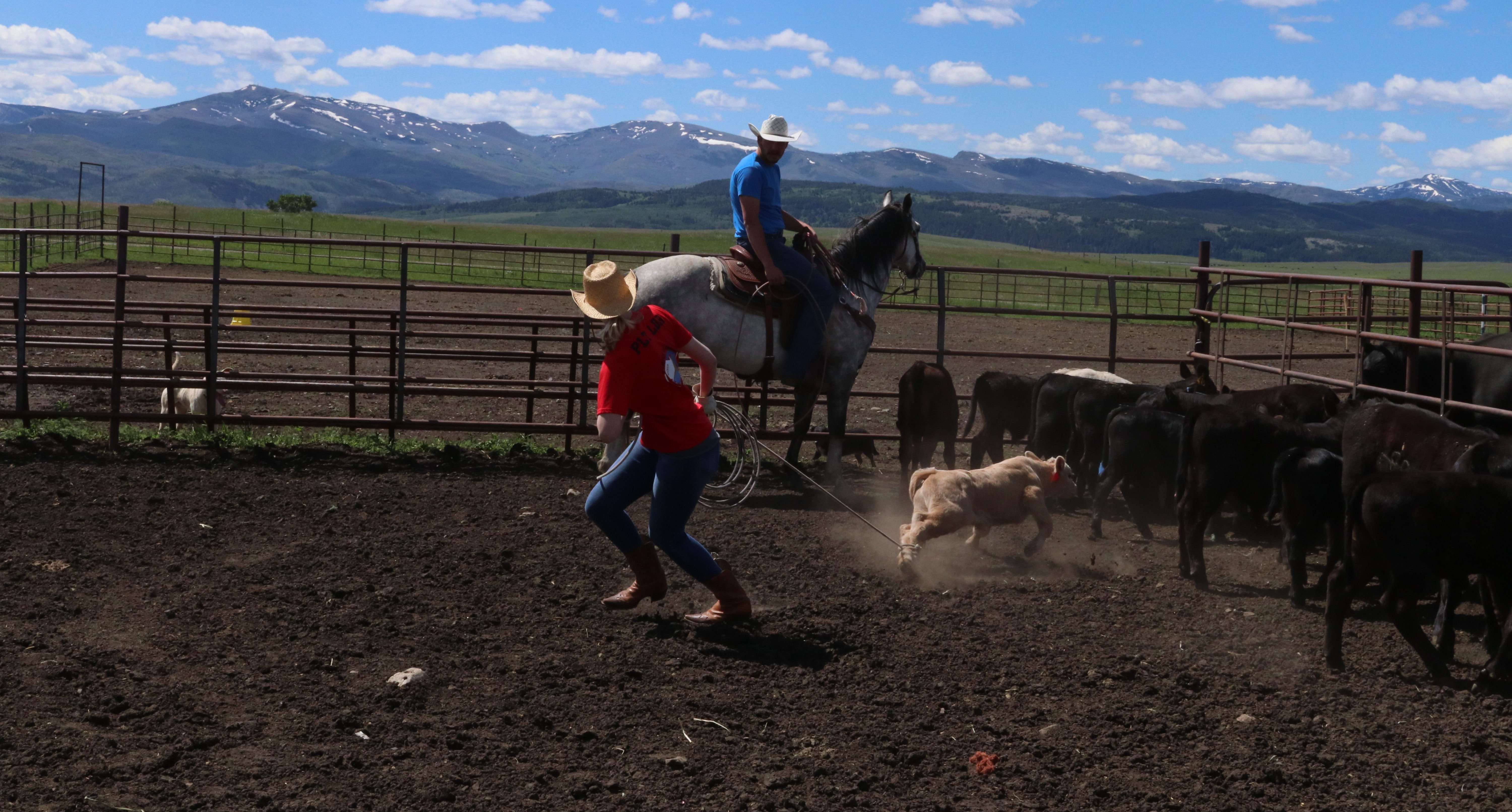 Horseback Riding Excursions Bear Creek Guest Ranch