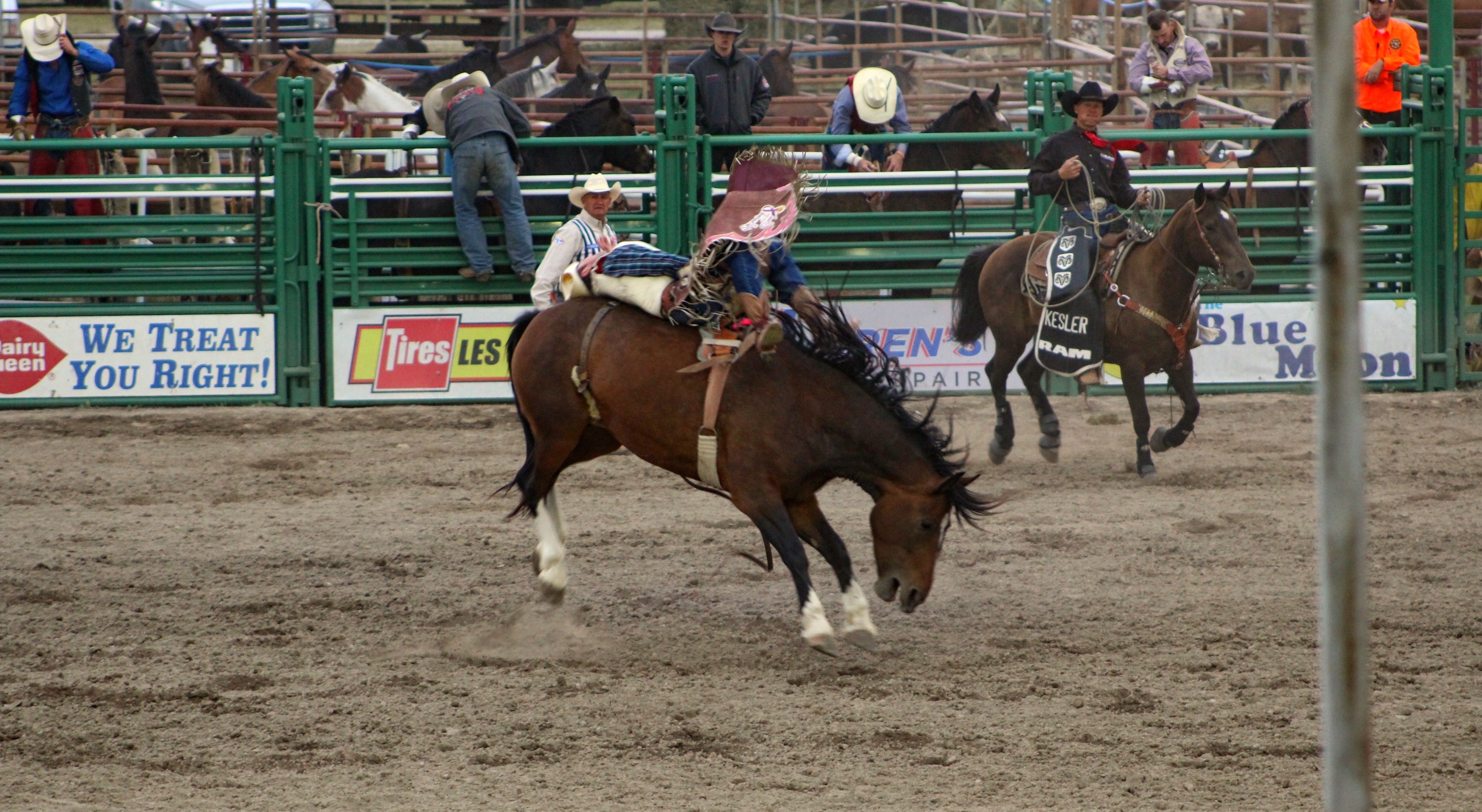 Montana Horseback Riding Vacations Bear Creek Guest Ranch