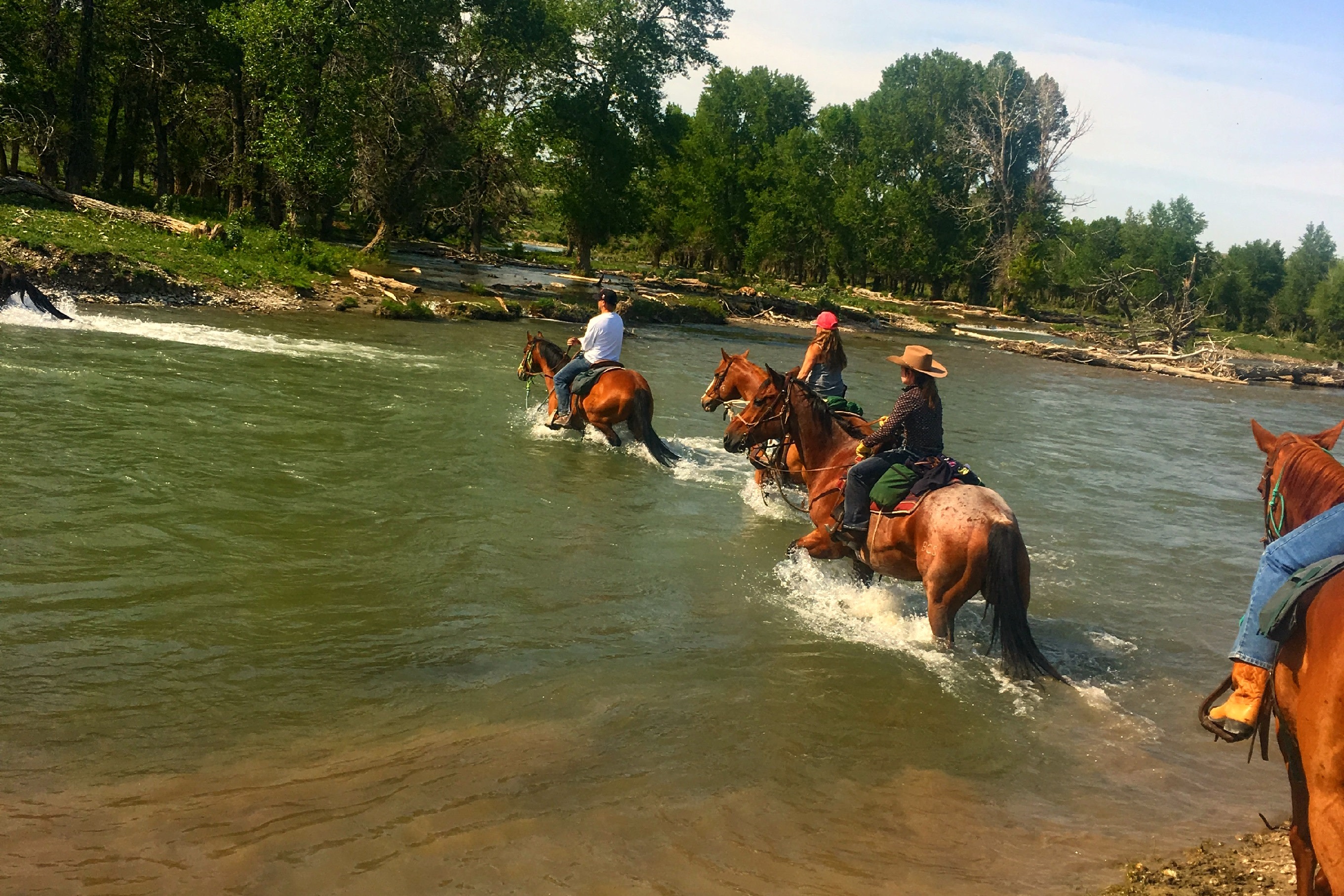 Montana Horseback Riding Vacations Bear Creek Guest Ranch