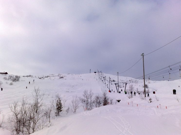 14022009779 Kvamskogen