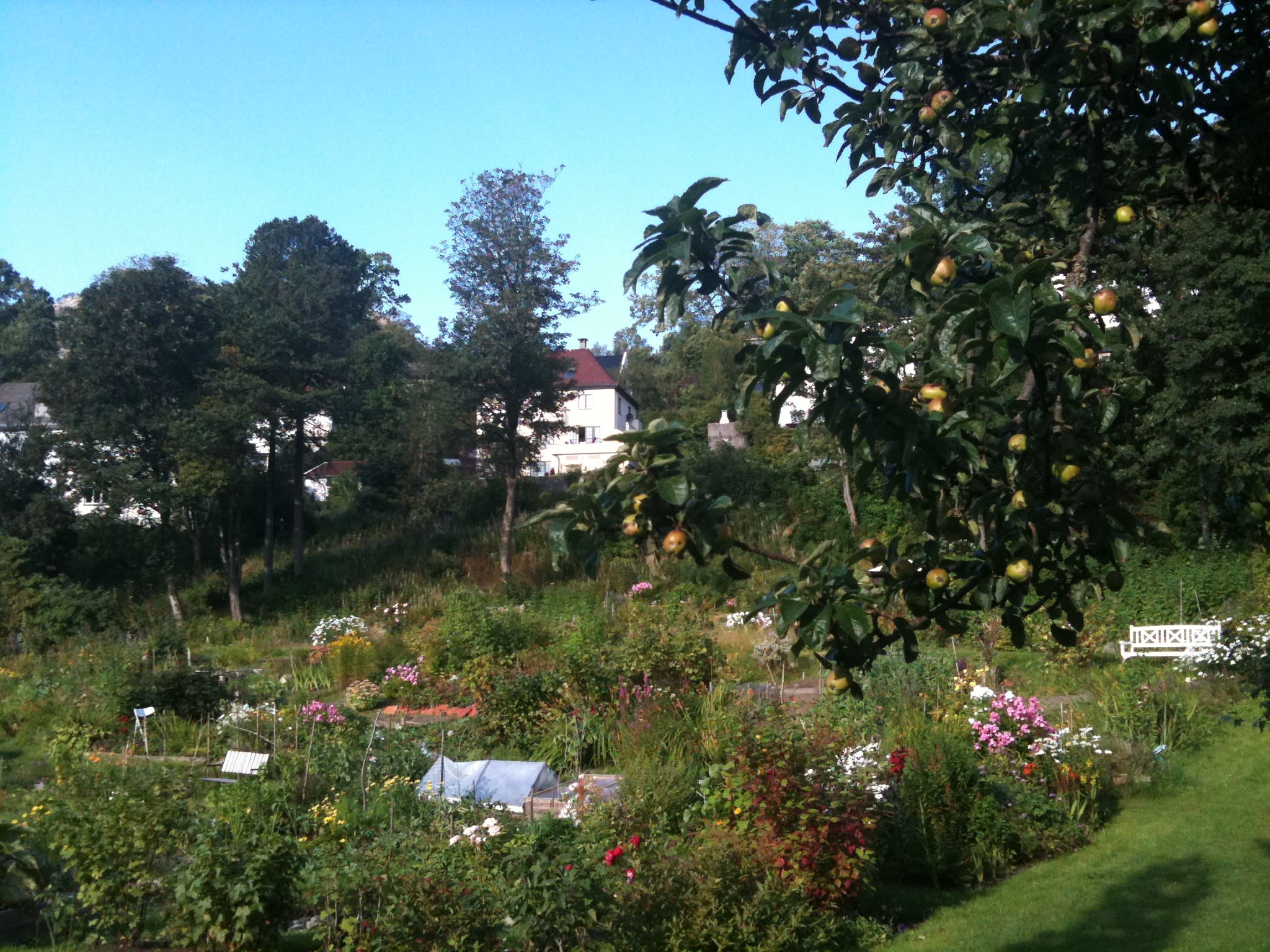On a king’s ground|På kongens grunn