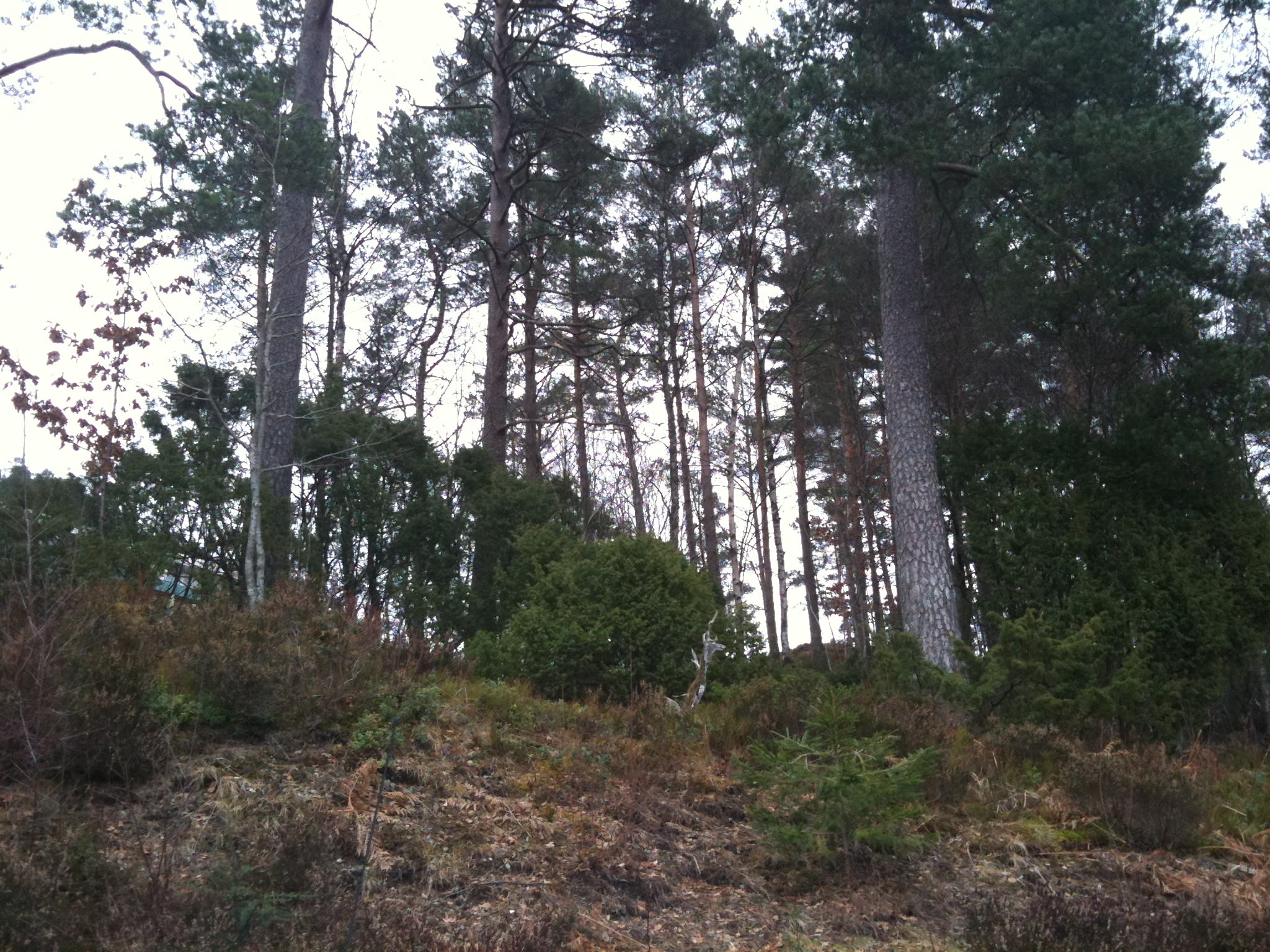 I had to look twice|Jeg måtte se to ganger