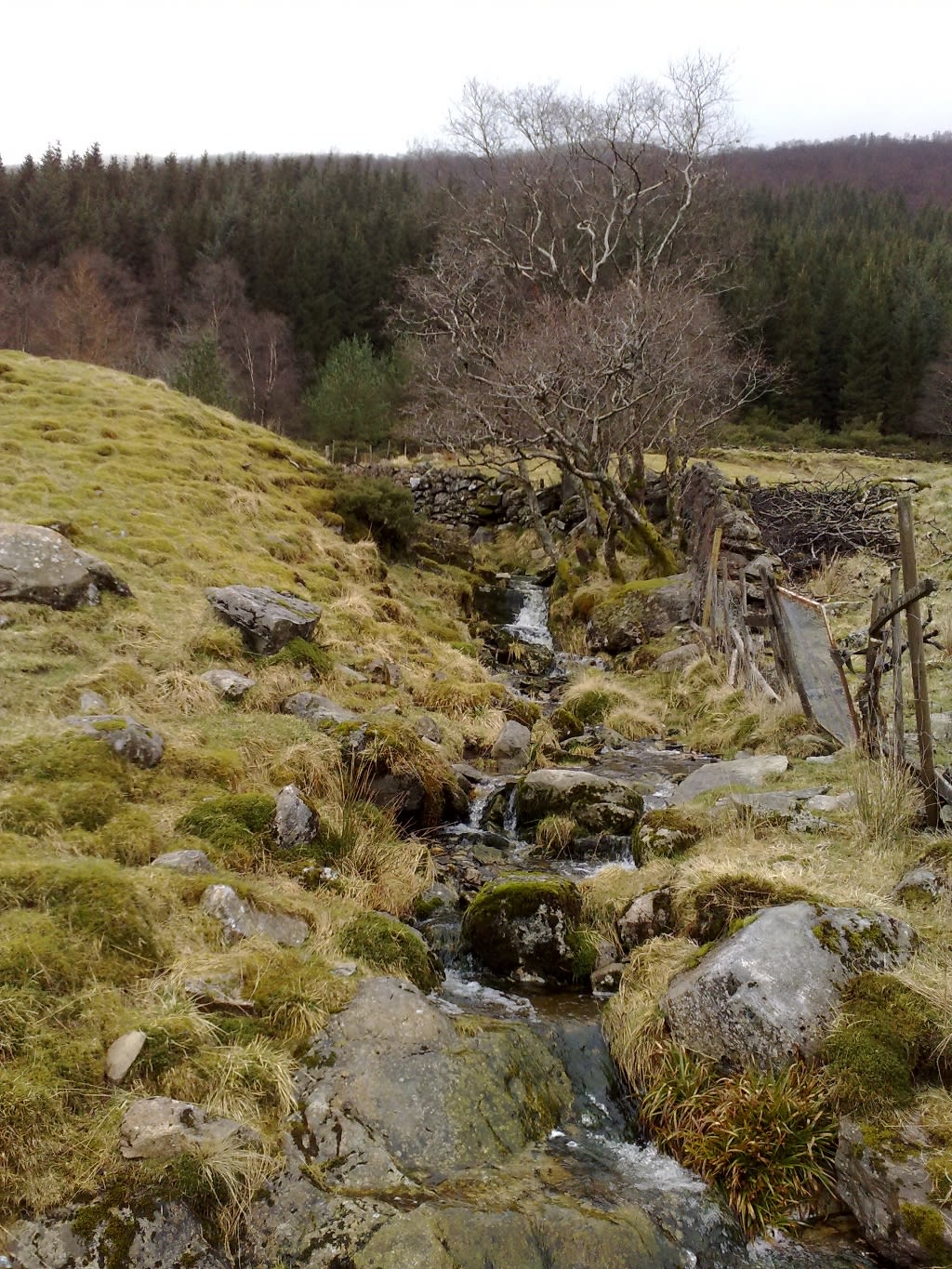 A Thursday walk|En torsdagstur