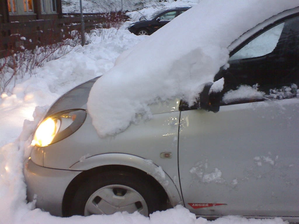 Wordless Wednessday – Snow|Ordløs onsdag – Snø