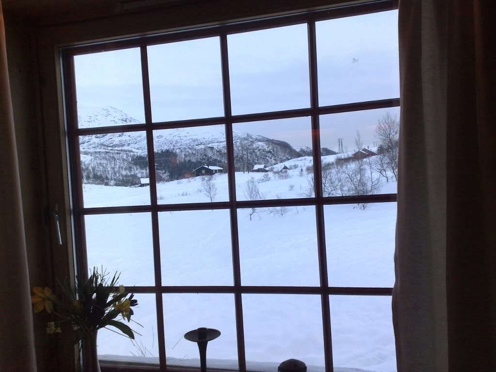 Skiing weekend at Furedalen|Helgetur til Kvamskogen