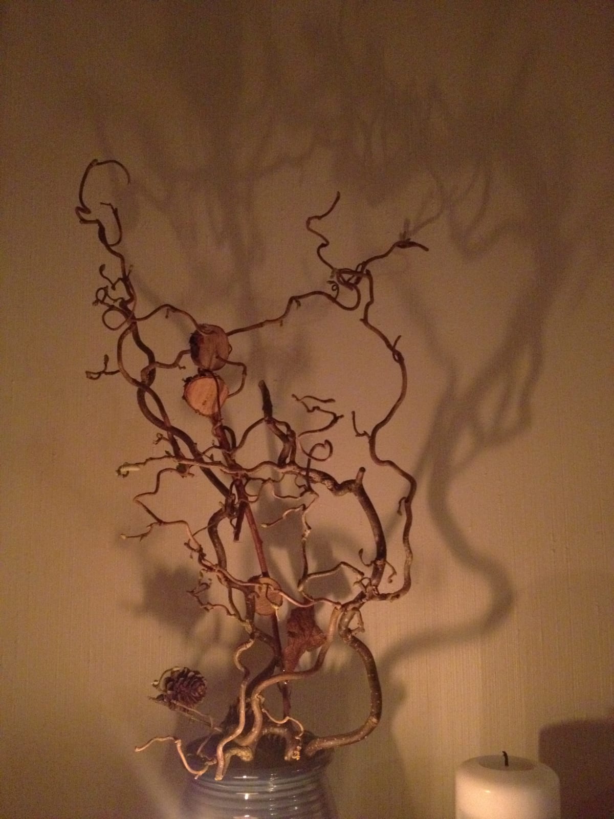 Troll Hazel Witch Hazel