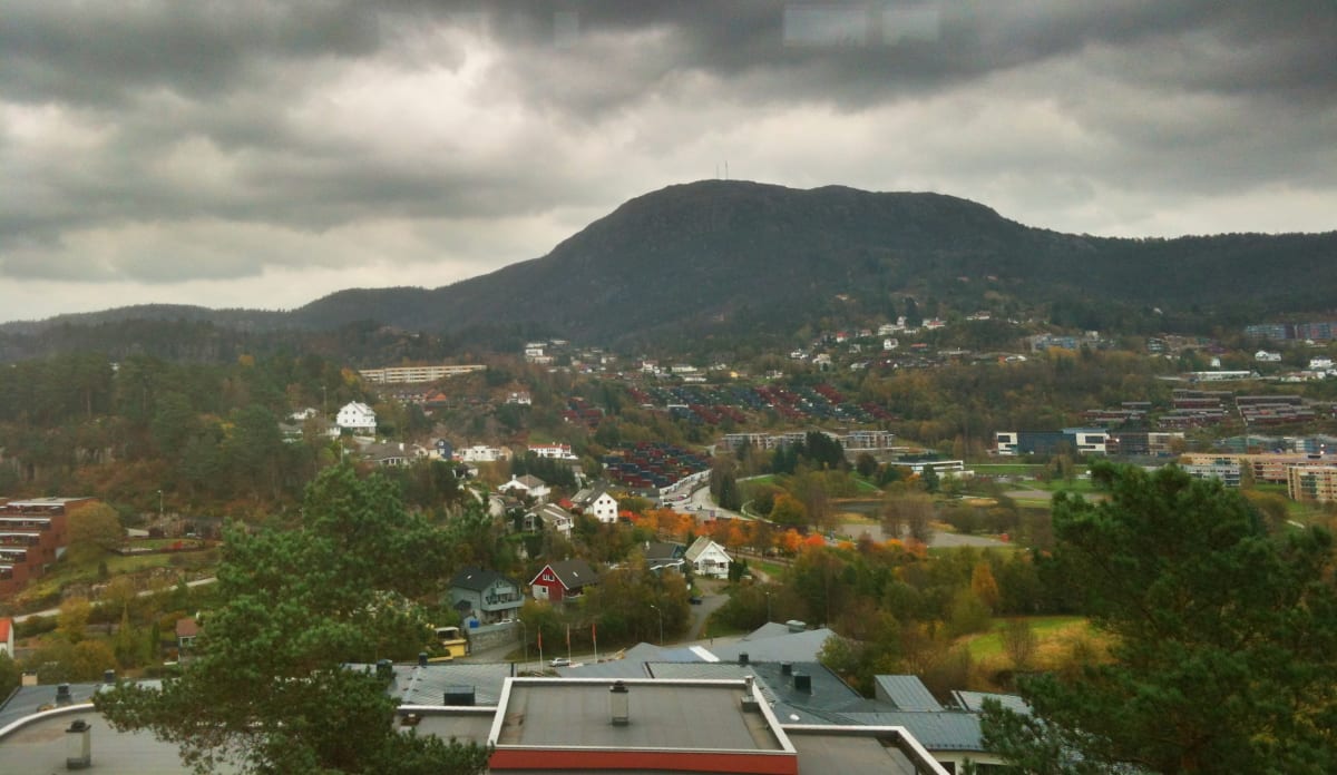 Fyllingsdalen L&oslash;vstakken