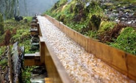 Enthusiasts rebuild old water chutes|Ildsjeler med engasjement for Sandviken chutes