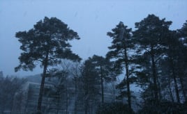 Finally more snow|Endelig mer snø IMG_1893