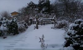 A quiet and peaceful Christmas|En fredelig Jul IMG_1925