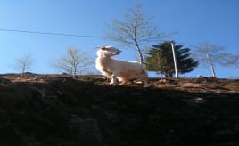 Escaping the city|Å rømme fra byen varen 2011 045