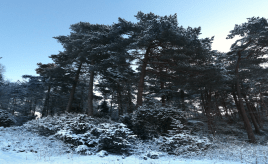 Spelhaugen Fyllingsdalen