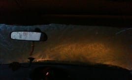 Ice roses morning|Isrose-morgen IMG_1616