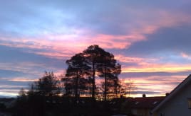 A beautiful morning|En nydelig morgen 26012009715