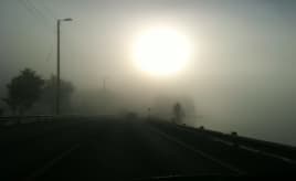 Misty morning drive|Morgendis på kjøretur mistymorning9832