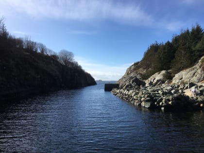 Austevoll øklandsvågen