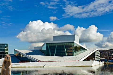 operaekorn operaekorn