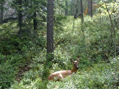 150720091489 150720091489