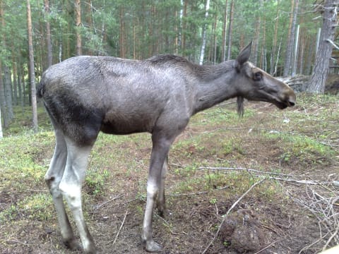 150720091492 150720091492