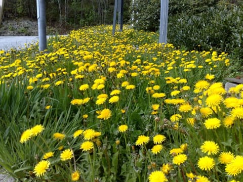 1405200911921 1405200911921