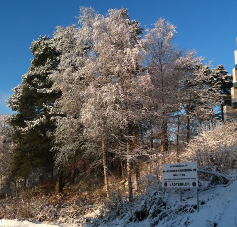 Spelhaugen Fyllingsdalen