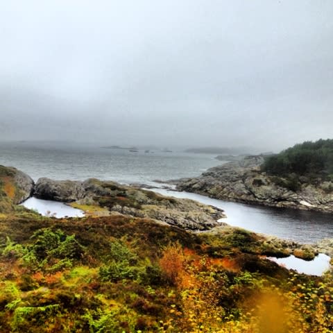 Autumn at Austevoll|Høst på Austevoll