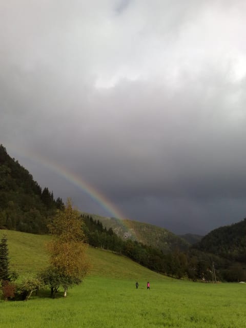 290820091598 290820091598