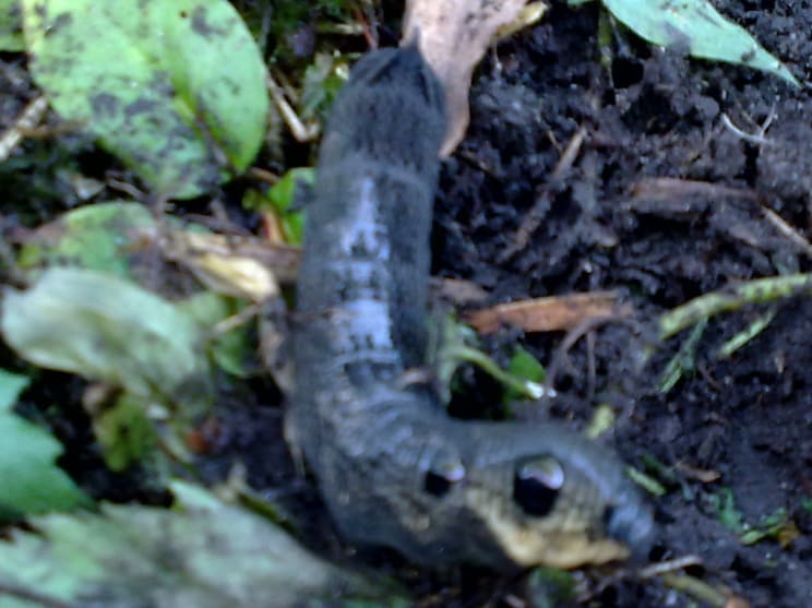 1030820091566 1030820091566