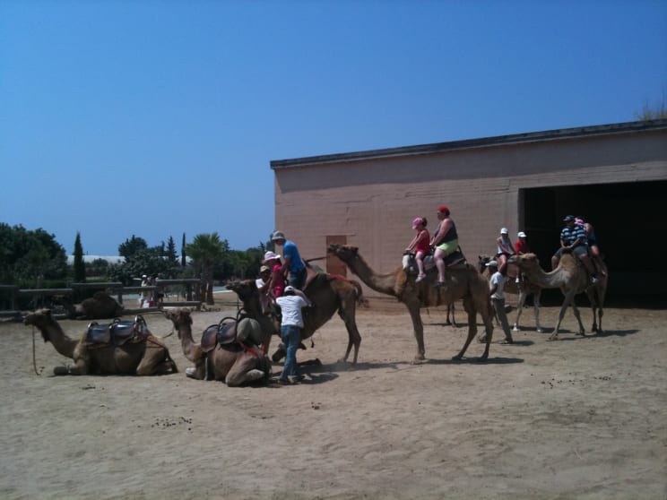 sommerferie 2010 450