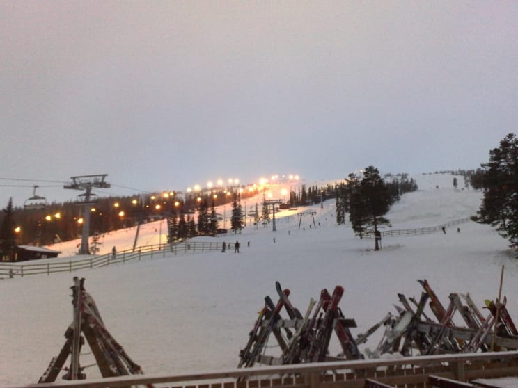 17012009705 17012009705