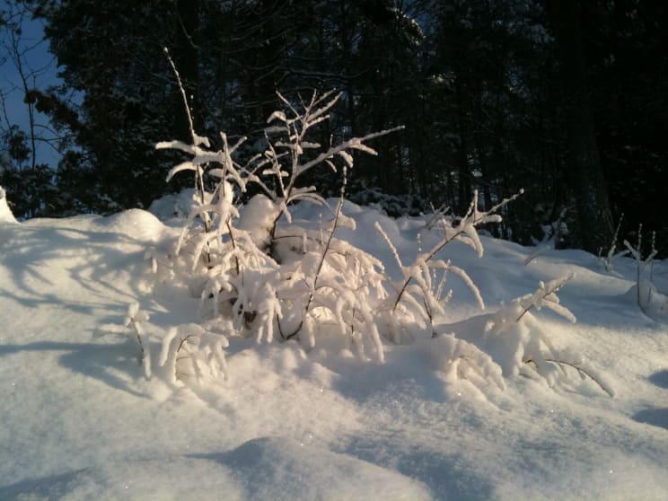 Winter in Fyllingsdalen