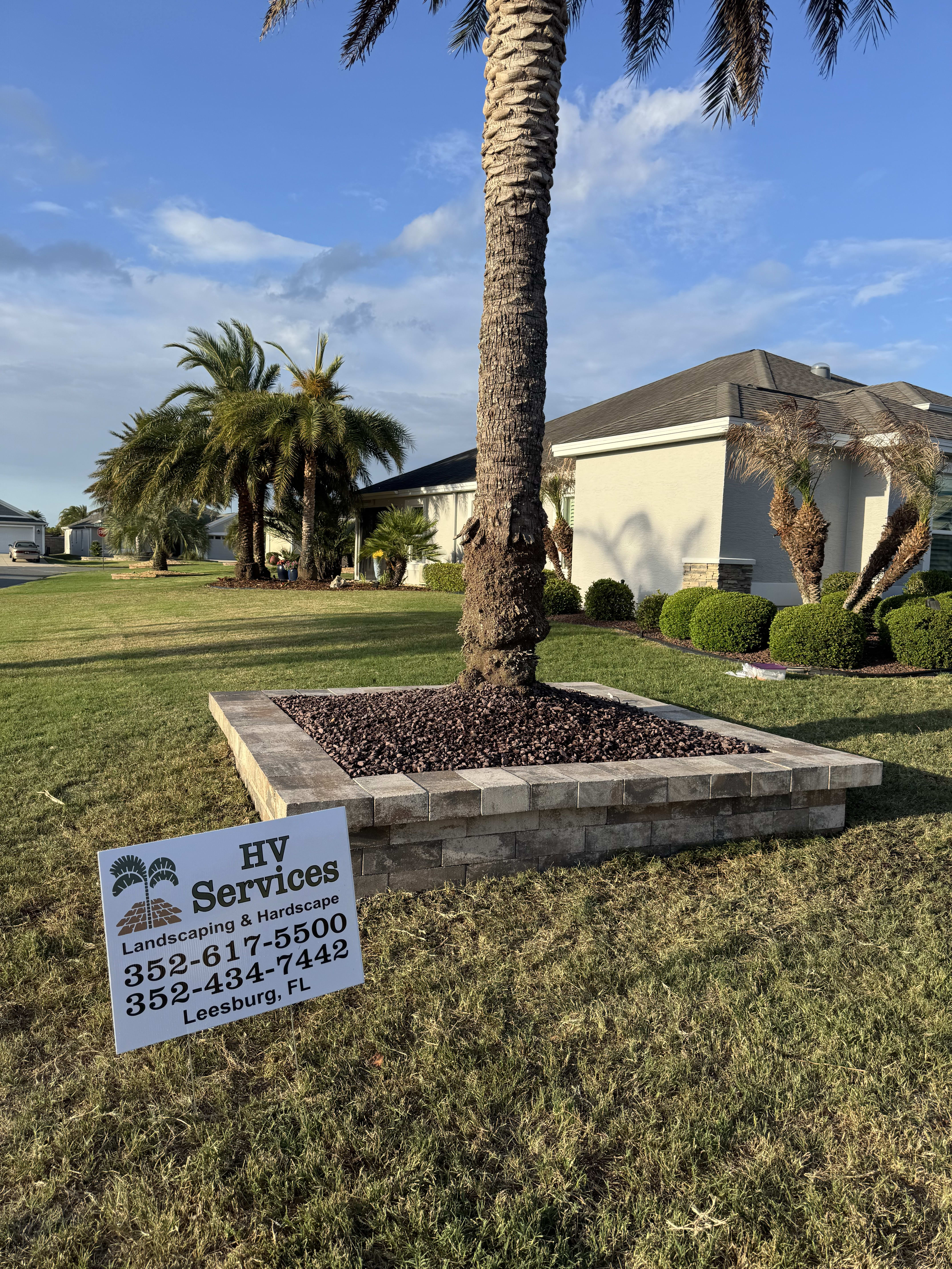 Palm hardscape surround