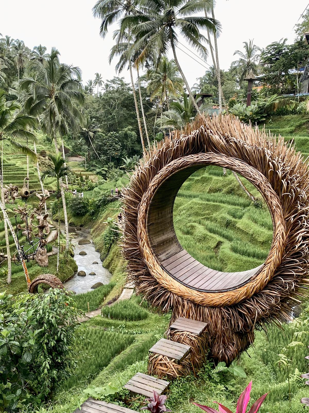 A large woven circular viewpoint framing green rice terraces and palms