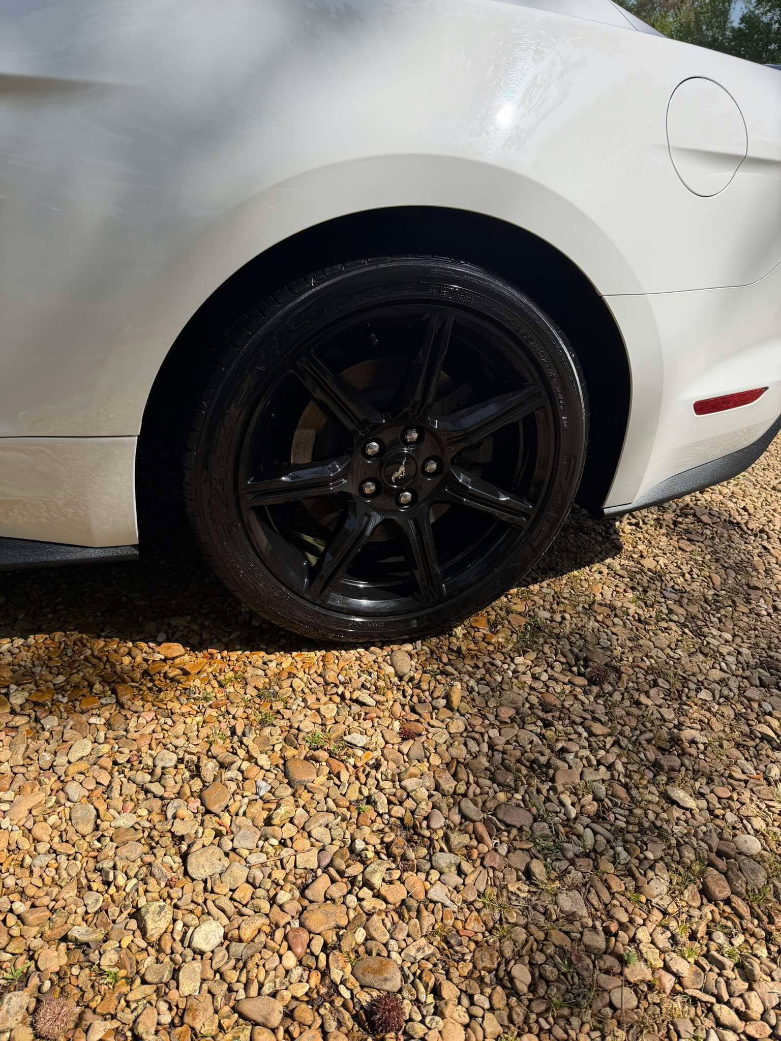 Mustang Wheel and Fender Detail
