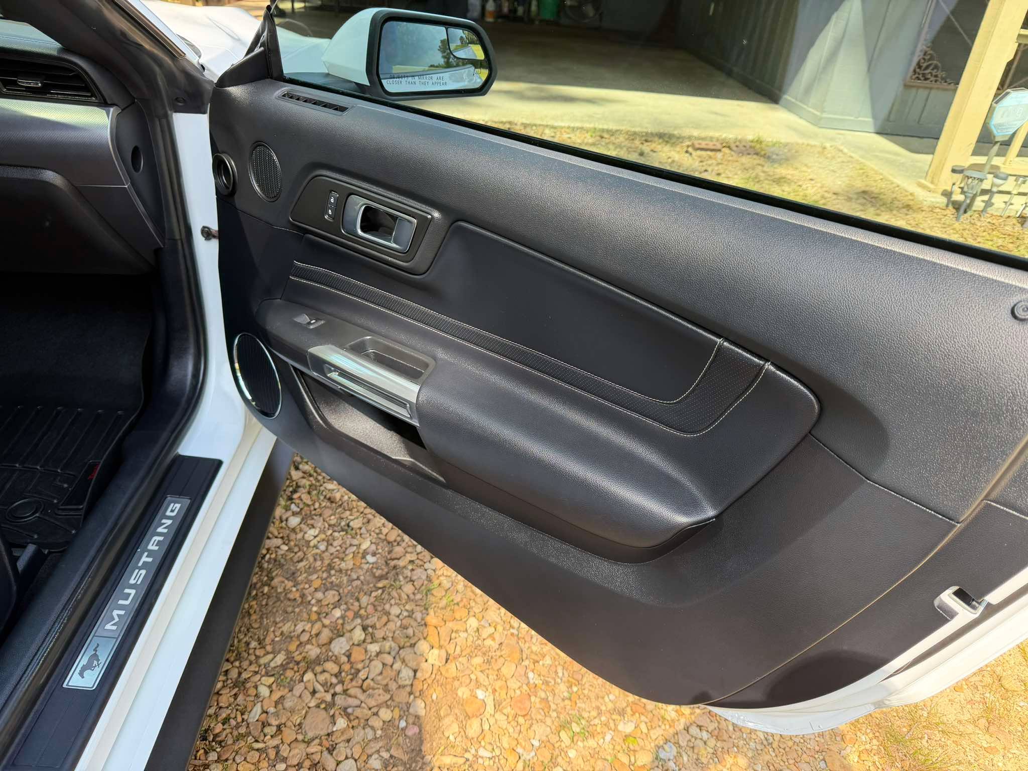 Mustang Door Panel Detail