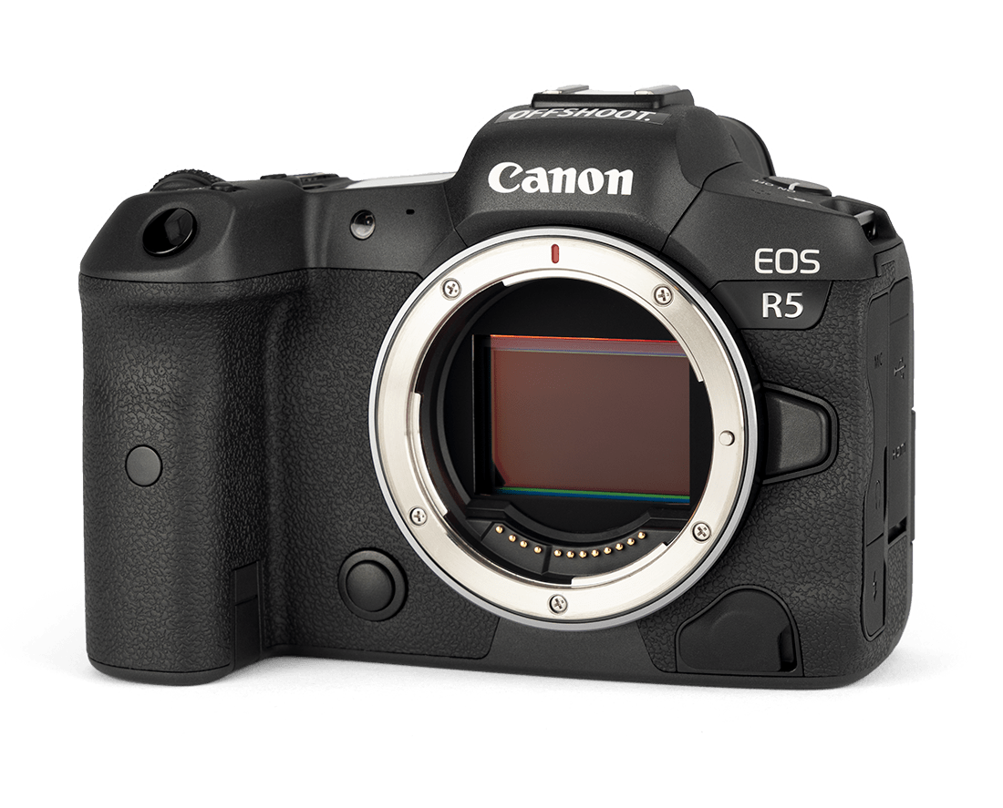 Offshoot Rentals Melbourne Rent The Canon EOS R5