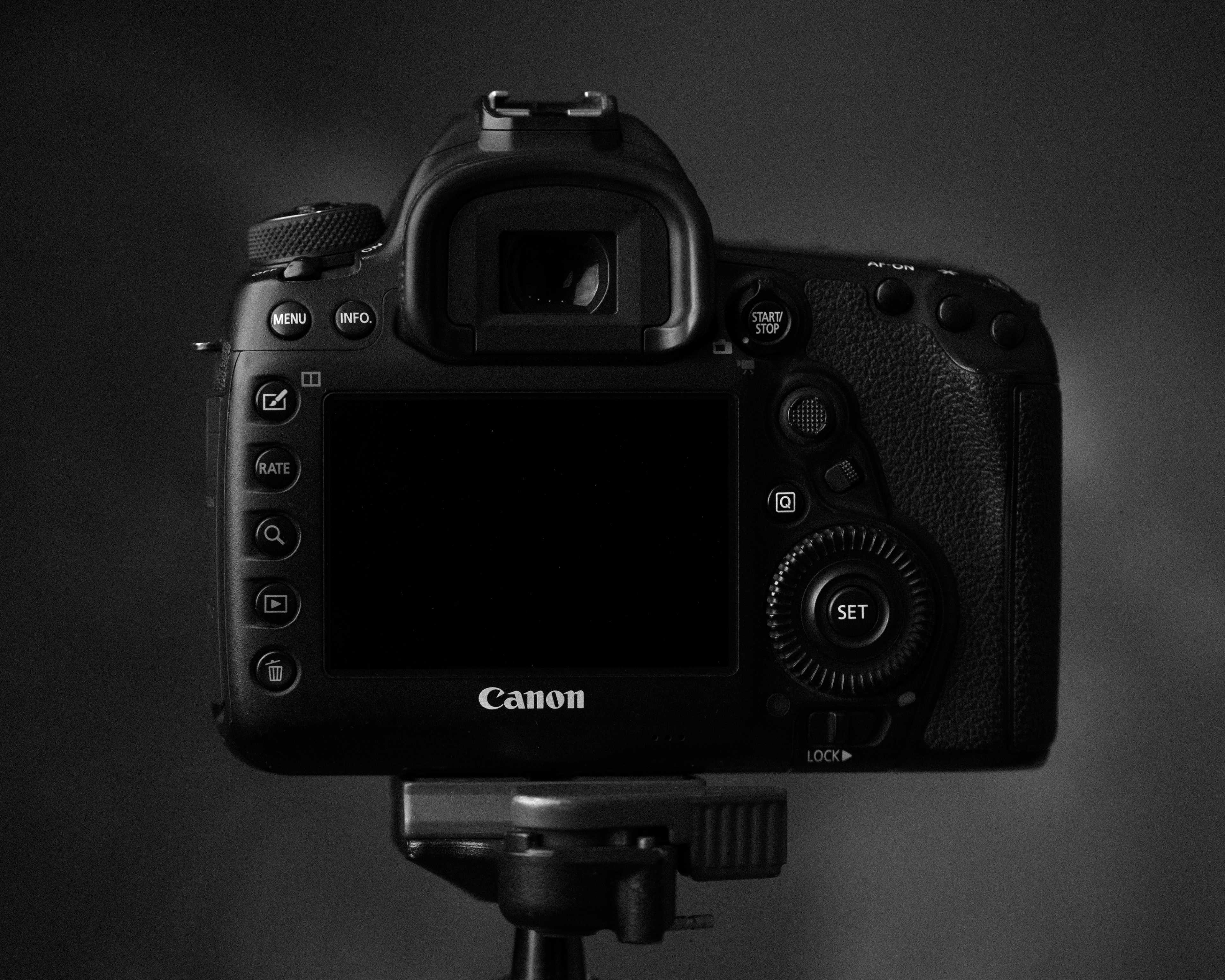 Rear view of Canon 5D MKIV DSLR camera