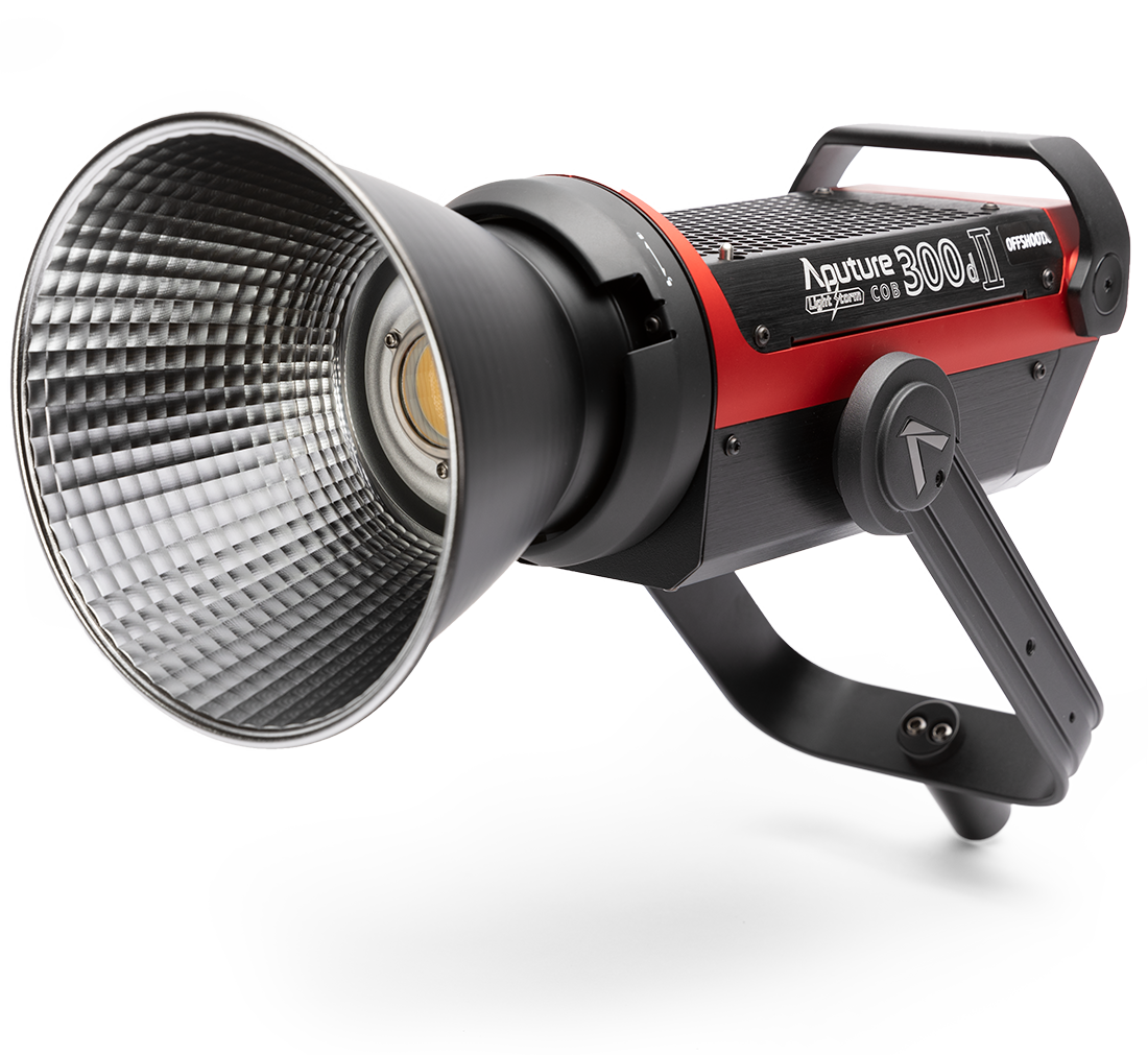 Aputure LS 300d II