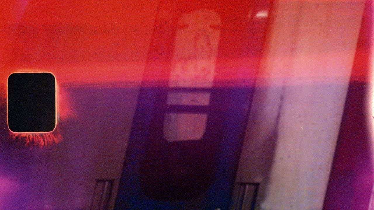 Bonobo - ATK