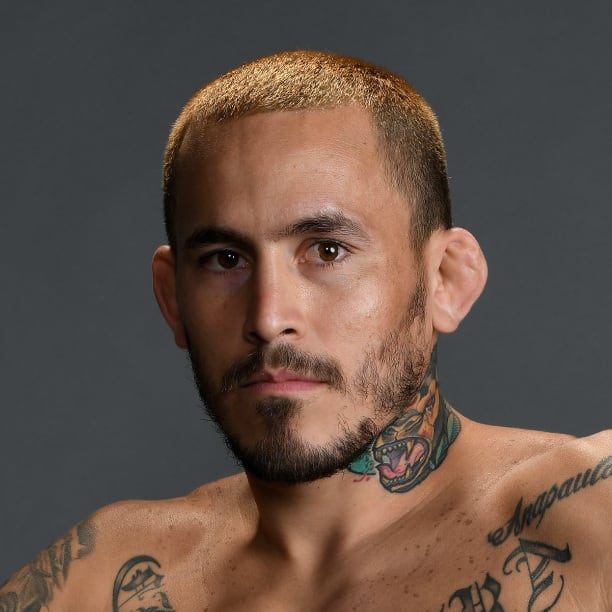 Top 79+ marlon vera tattoos latest in.cdgdbentre