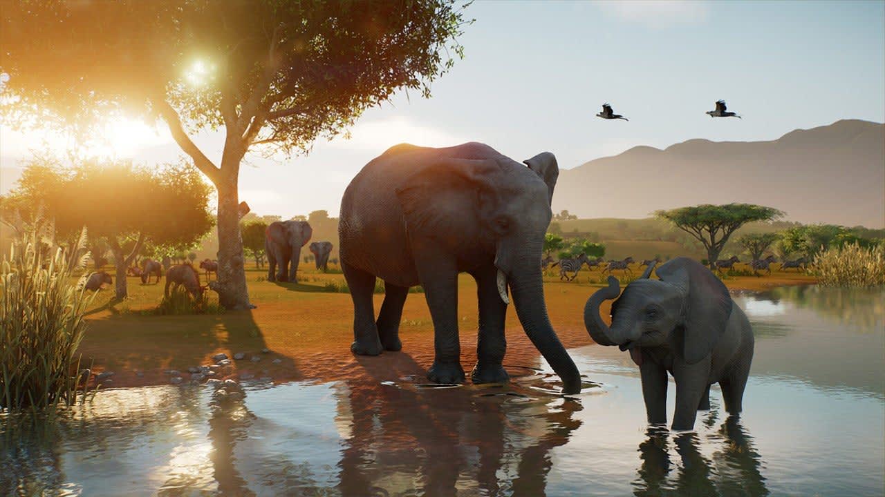 Captura de pantalla de Planet Zoo 2 mostrando la vista en primera persona en una reserva africana