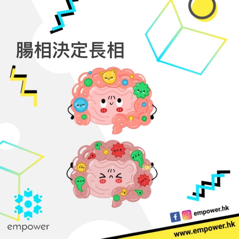 腸相決定長相